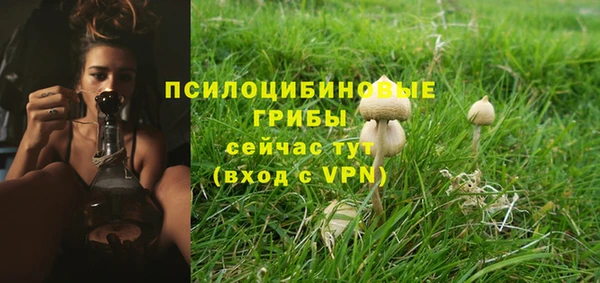 ГАЛЛЮЦИНОГЕННЫЕ ГРИБЫ Краснослободск