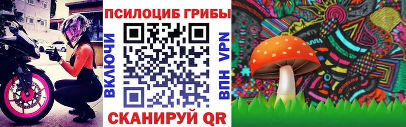 Галлюциногенные грибы мицелий  Купить закладки  Реж 